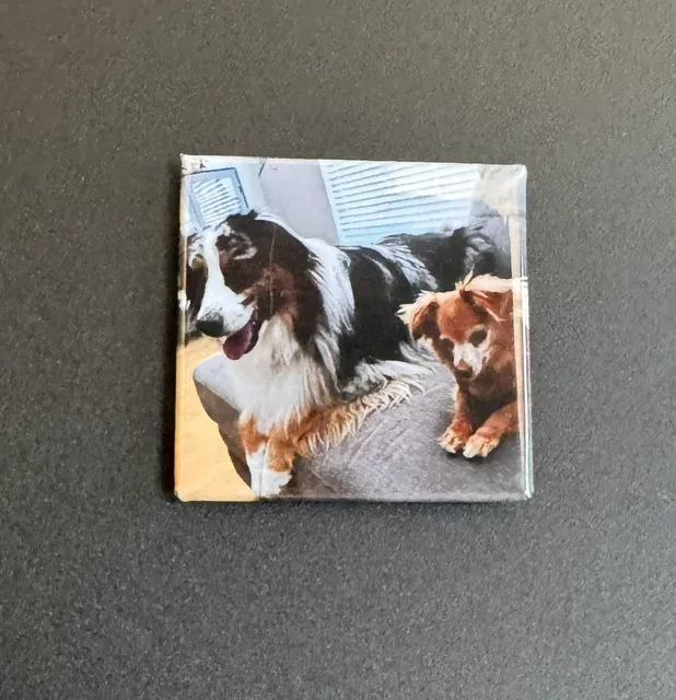 1 - one custom magnet